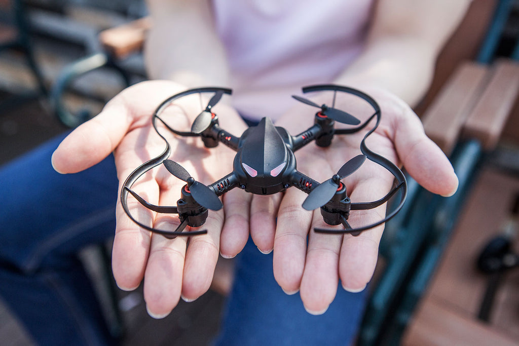 Holding programmable drone in hands